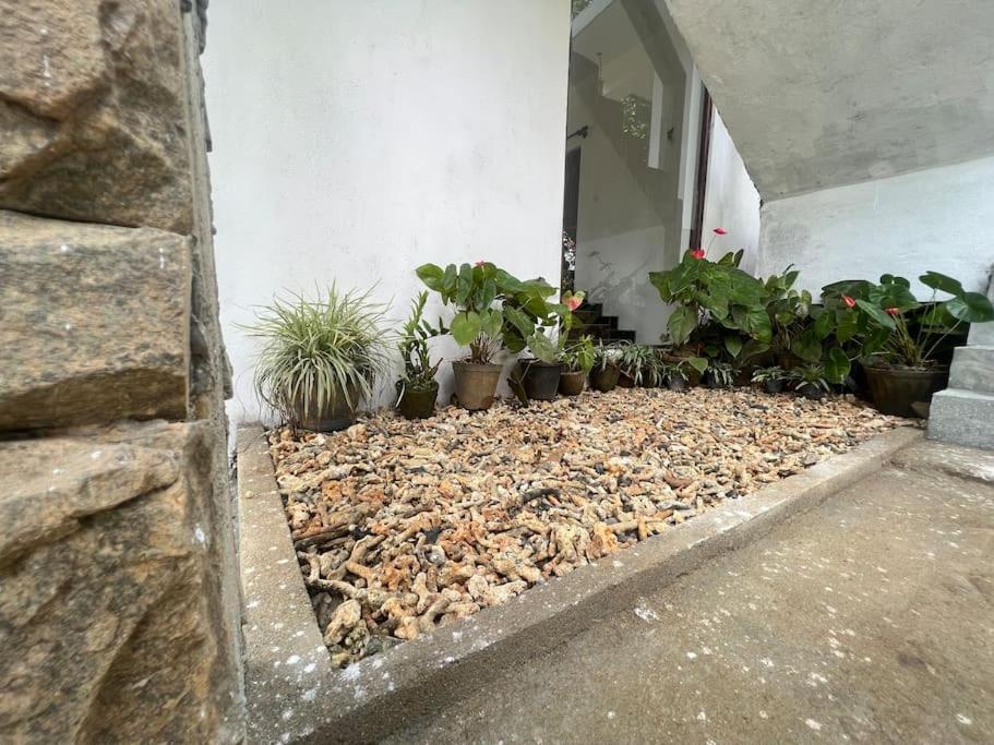ווליגאמה Plantation Inn מראה חיצוני תמונה